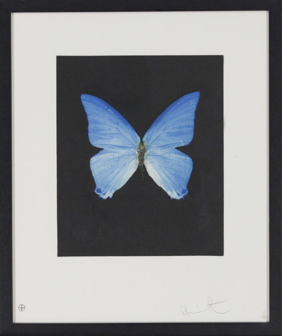 Damien Hirst - Providence - Frame image