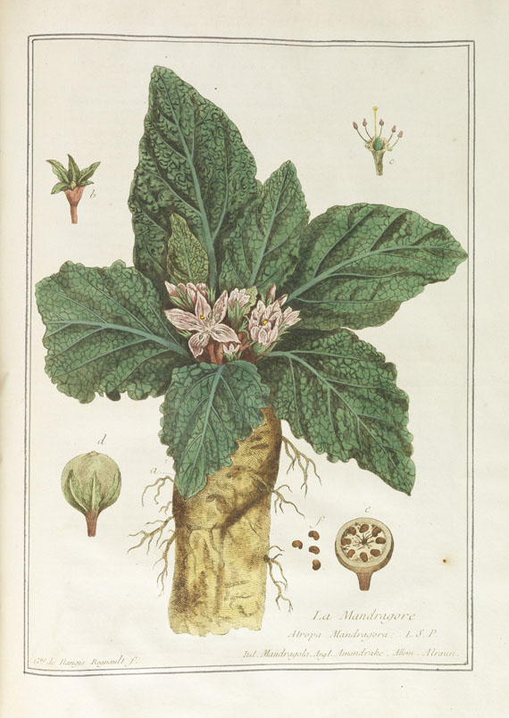 Nicolas Francois Regnault - La botanique mise à la portée. 3 Bände - 