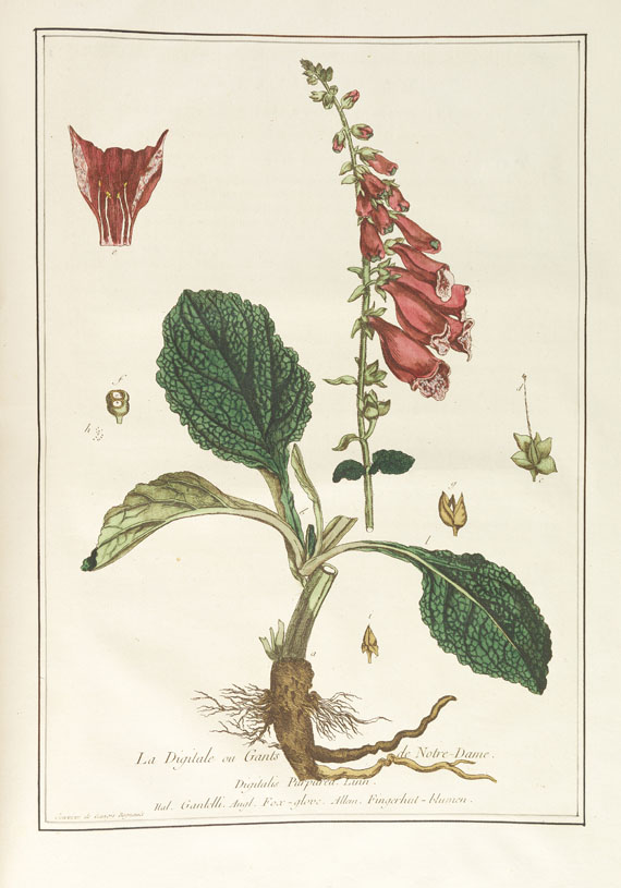 Nicolas Francois Regnault - La botanique mise à la portée. 3 Bände - 
