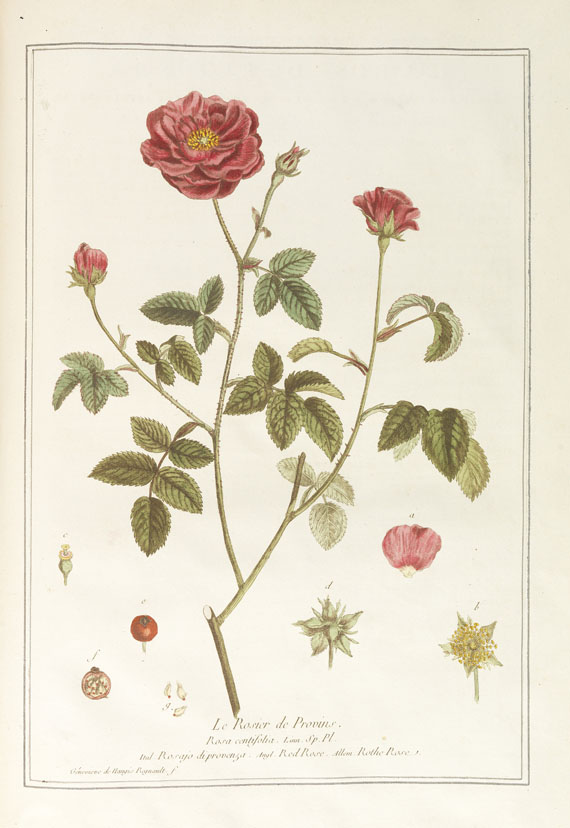 Nicolas Francois Regnault - La botanique mise à la portée. 3 Bände - 