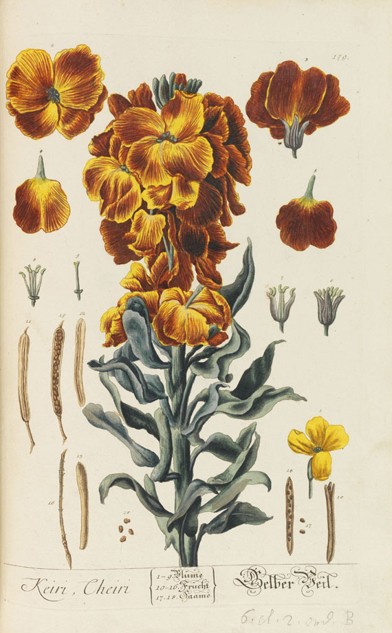 Elisabeth Blackwell - Kräuter-Buch. 4 Bände - 