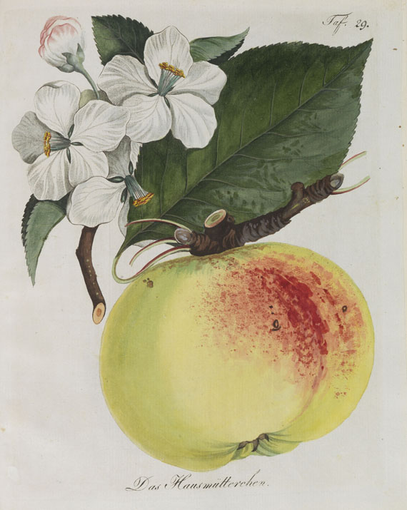   - Allgemeines Teutsches Garten-Magazin. 8 Bände - 