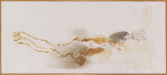Andy Goldsworthy - Snow and Earth - Frame image