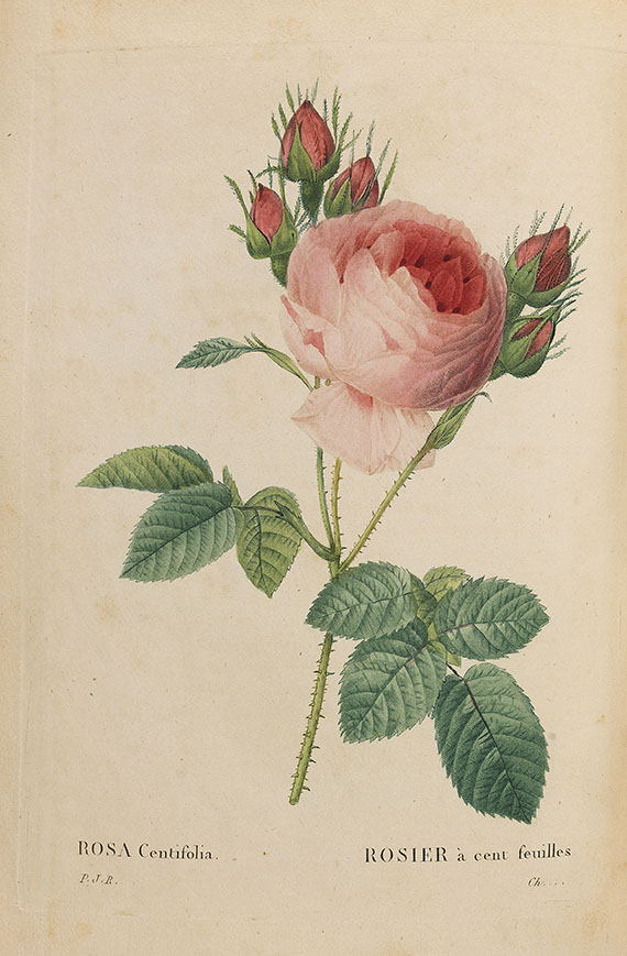 Pierre Joseph Redouté - Les roses. 3 in 2 Bänden