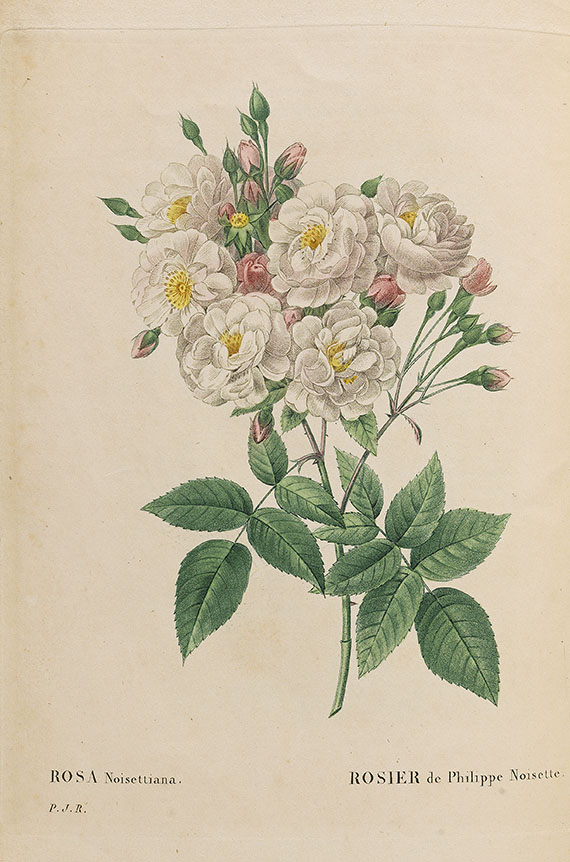 Pierre Joseph Redouté - Les roses. 3 in 2 Bänden - 