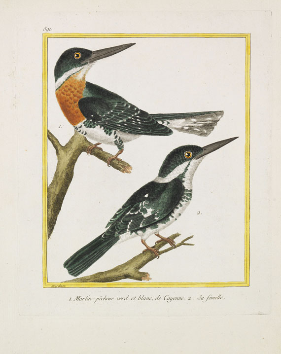 Georges Louis Leclerc Buffon - Histoire naturelle des oiseaux. 3 Kassetten - 