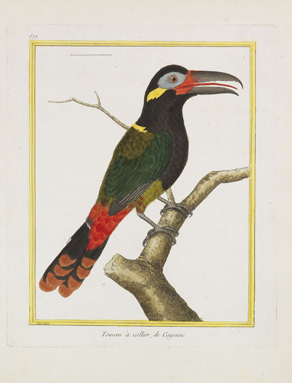 Georges Louis Leclerc Buffon - Histoire naturelle des oiseaux. 3 Kassetten - 