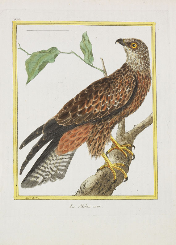 Georges Louis Leclerc Buffon - Histoire naturelle des oiseaux. 3 Kassetten - 