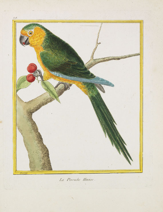 Georges Louis Leclerc Buffon - Histoire naturelle des oiseaux. 3 Kassetten - 