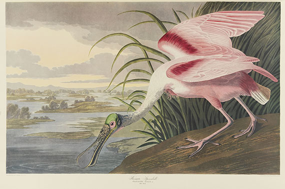 John James Audubon - The Birds of America, 2 Bde. + Tafelverzeichnis