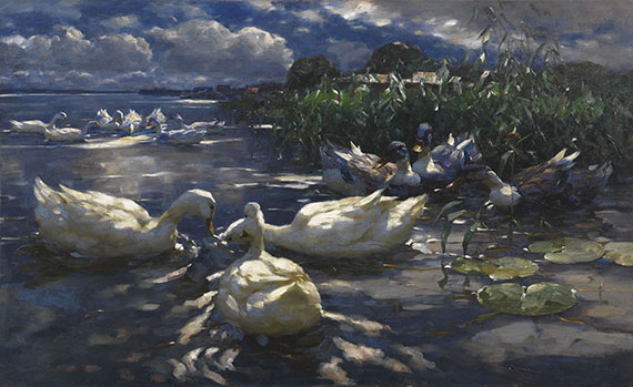 Alexander Koester - Enten, Reichenau