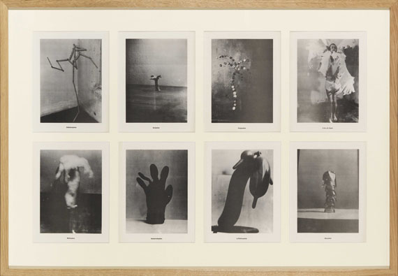 Sigmar Polke - Palmenserie - Frame image