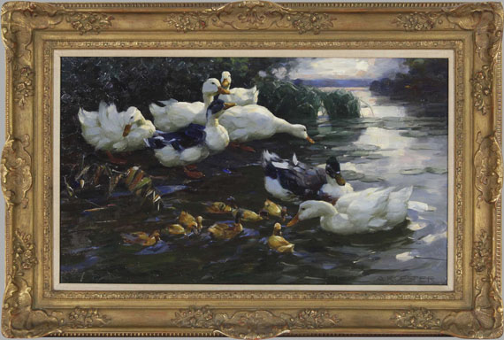 Koester - Enten mit Küken im Wasser