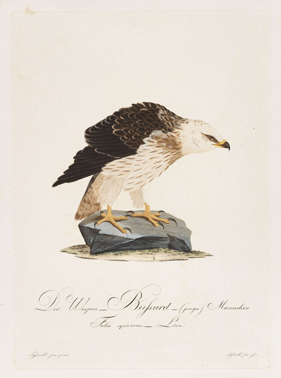 Johann Conrad Susemihl - Teutsche Ornithologie. 6 Hefte und lose Blätter