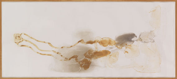 Andy Goldsworthy - Snow and Earth - Frame image