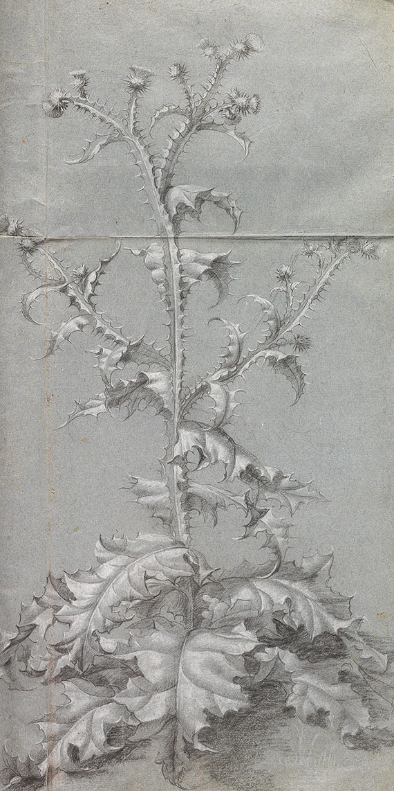   - Fleurs du Printemps et de l´Este - 