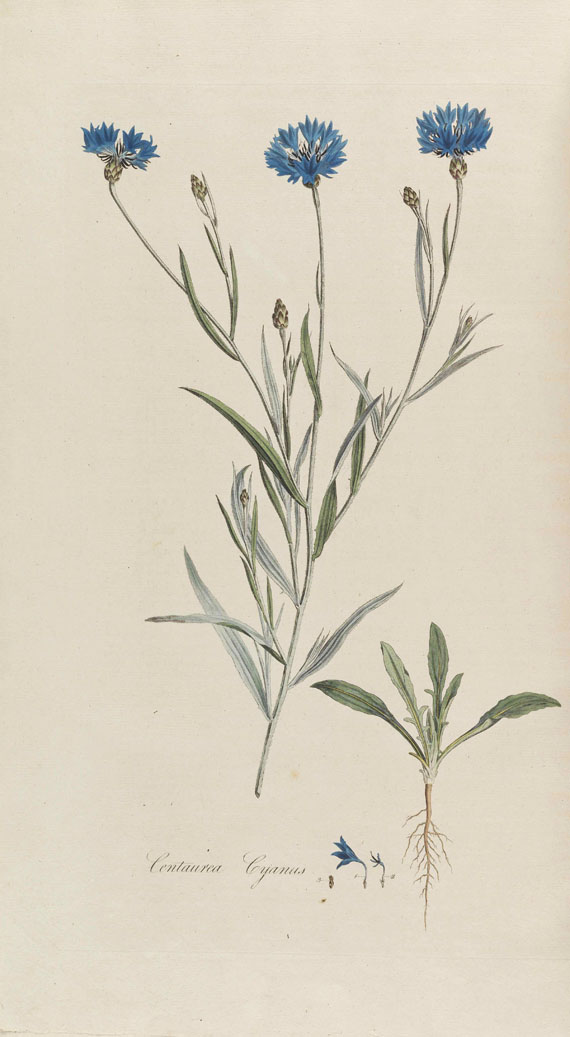 William Curtis - Flora Londinensis