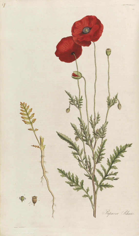 William Curtis - Flora Londinensis - 