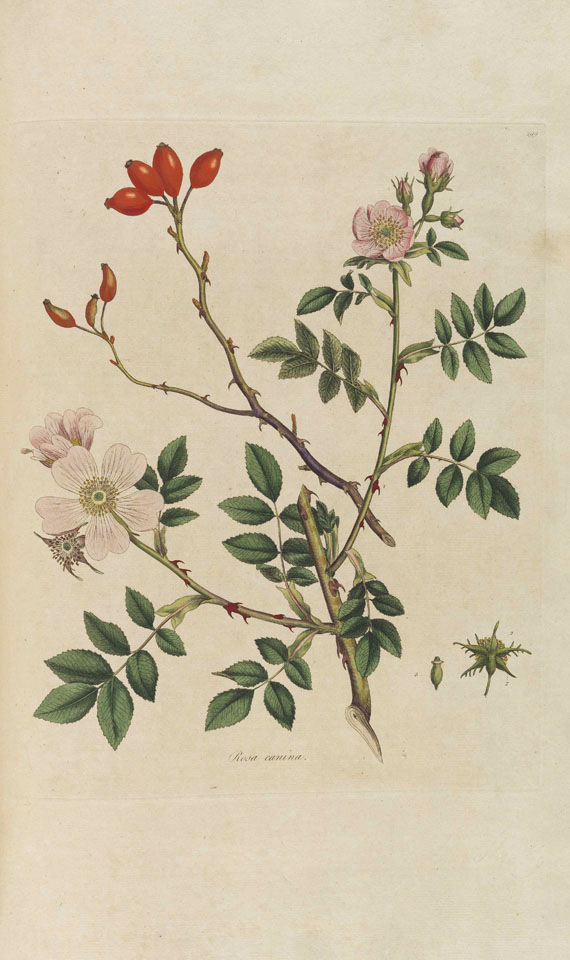 William Curtis - Flora Londinensis