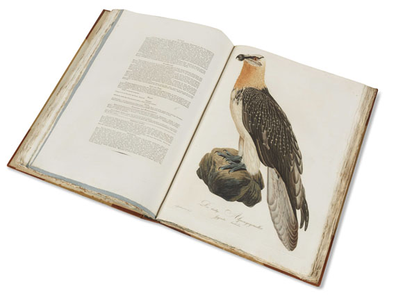 Johann Conrad Susemihl - Teutsche Ornithologie - 