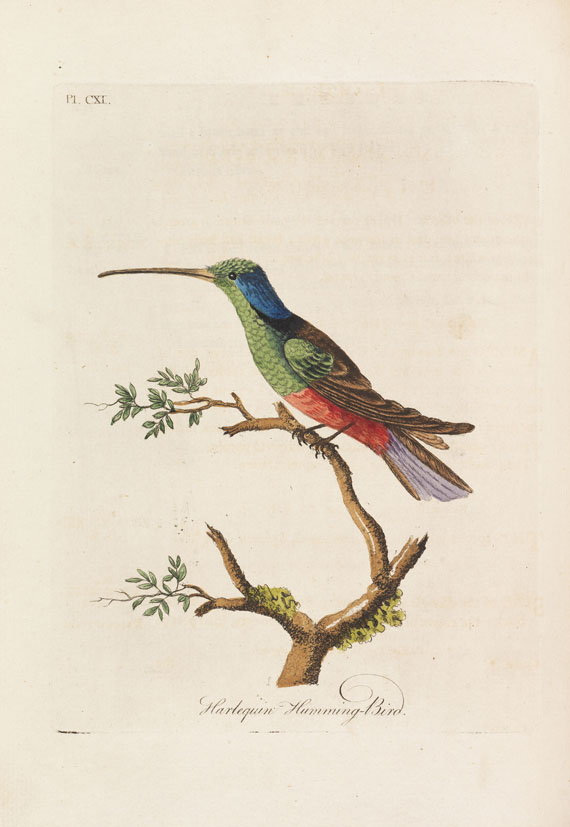 John Latham - A general Synopsis of Birds - 