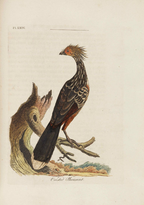 John Latham - A general Synopsis of Birds