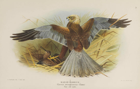 Thomas Lyttleton Powys - Birds of the British Islands. 7 Bände - 