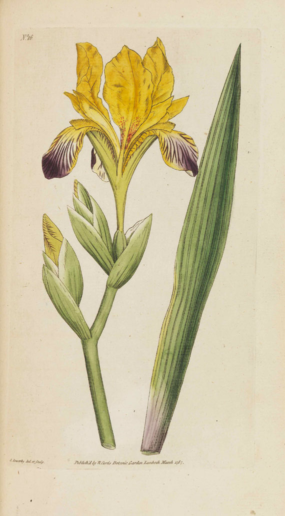 William Curtis - The Botanical Magazine 1-11 + Sammelband