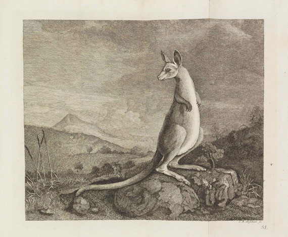 Johann Hawkesworth - Geschichte der See-Reisen. 3 Bände - 