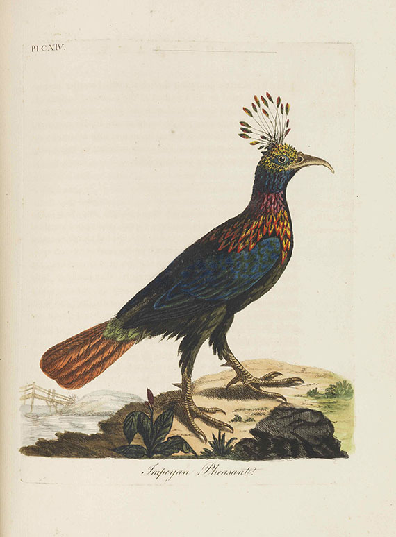John Latham - A general synopsis of birds. Bde. I-III