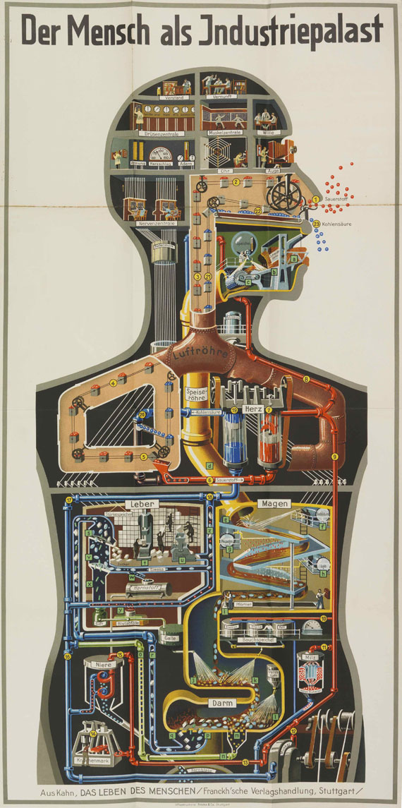 Fritz Kahn - Das Leben des Menschen, 5 Bände