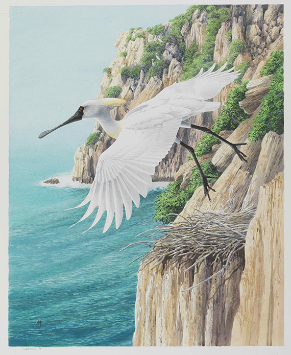 Alan Harris - Alan Harris und David Quinn - 49 Aquarelle zu "Storks, Ibises and Spoonbills of the world" 1992 - 