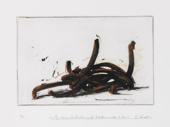 Bernar Venet - Random Combination of indeterminate Lines - 