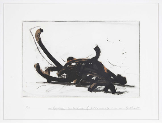 Bernar Venet - Random Combination of indeterminate Lines - Frame image