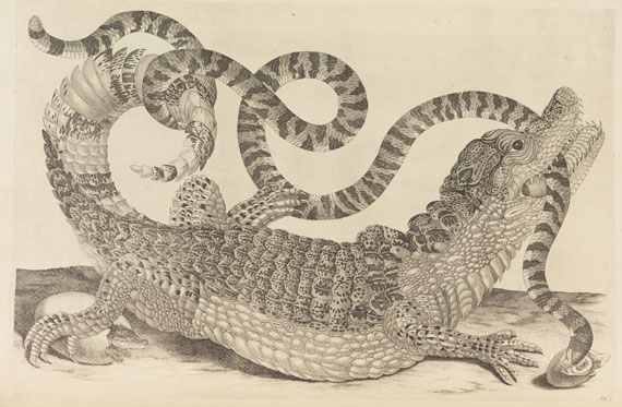 Maria Sibylla Merian - Veranderingen der surinaamsche Insecten