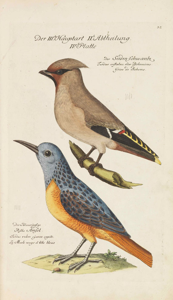 Johann Leonhard Frisch - Vorstellung der Vögel in Deutschland - 