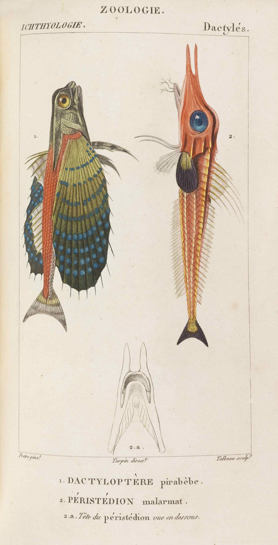 Georges Cuvier - Dictionnaire des sciences naturelles - 