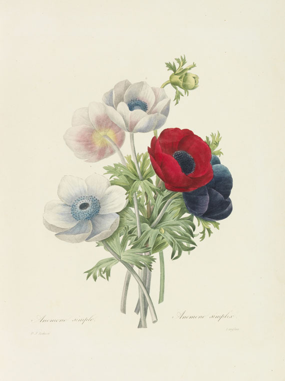 Pierre Joseph Redouté - Choix des plus belles fleurs et des beaux fruits. 135 plates plus 5 loosened - 