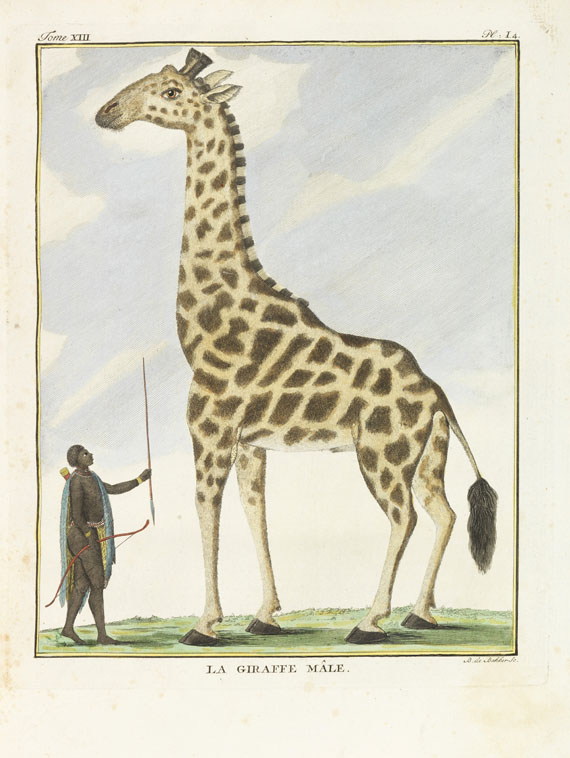 Georges Louis Leclerc Buffon - De algemeene en byzondere natuurlyke historie. 18 Bde. + Register - 