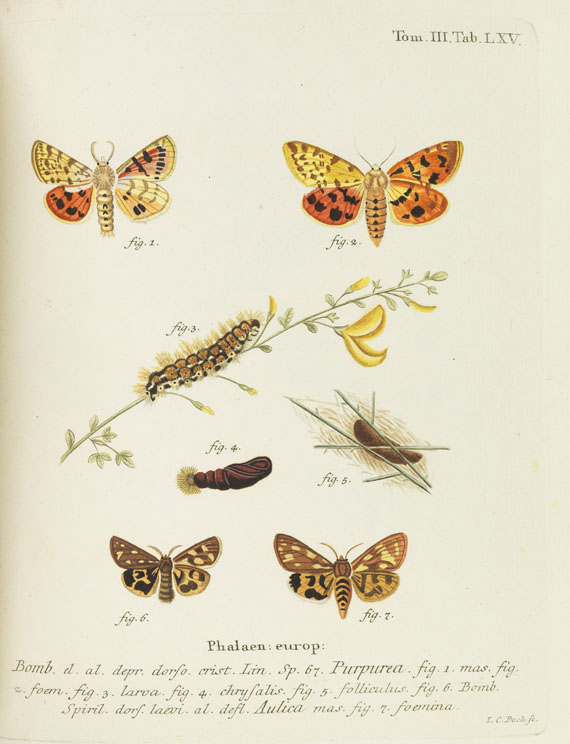 Johann Christoph Esper - Schmetterlinge + Ausländische Schmetterlinge, zus. 20 Bände - 