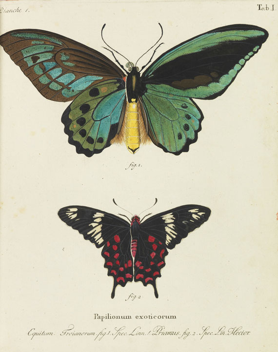 Johann Christoph Esper - Schmetterlinge + Ausländische Schmetterlinge, zus. 20 Bände - 