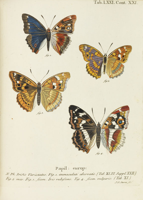 Johann Christoph Esper - Schmetterlinge + Ausländische Schmetterlinge, zus. 20 Bände