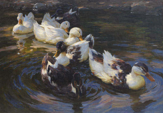 Alexander Koester - Enten in Morgensonne (Enten in blauem Wasser)