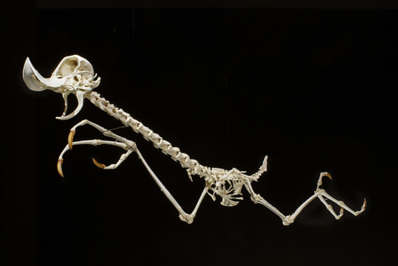 Hyungkoo Lee - Geococcyx Animatus & Canis Latrans Animatus (2-tlg.) - 