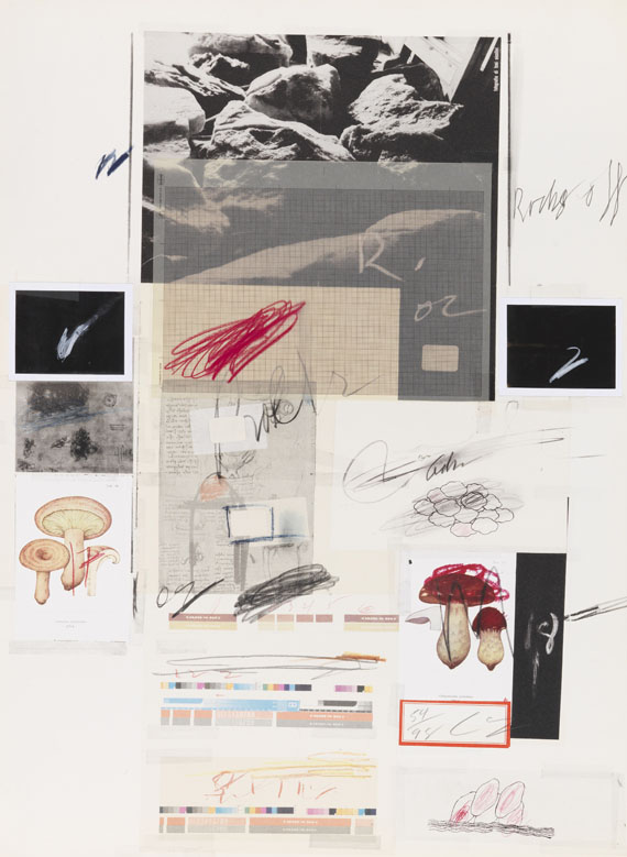 Cy Twombly - Natural History Part I, Mushrooms - 