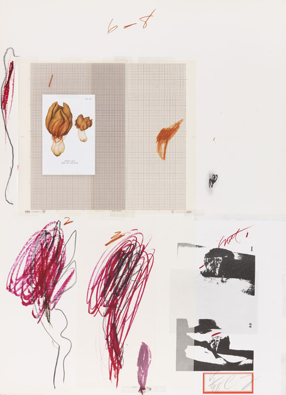 Cy Twombly - Natural History Part I, Mushrooms - 