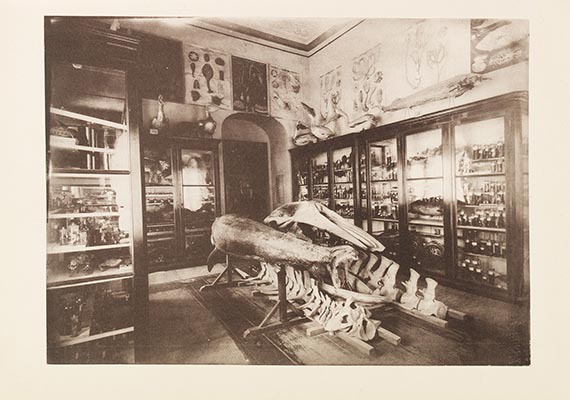 Gustav Radde - Die Sammlungen des Kaukasischen Museums. Bd 1: Zoologie - 