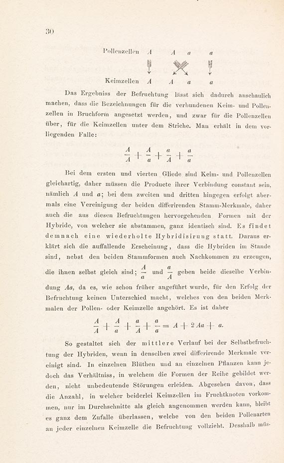 Gregor Mendel - Versuche über Pflanzen-Hybriden