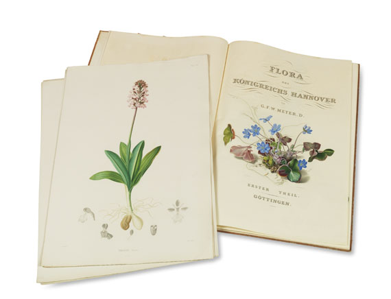 Georg Friedrich Wilhelm Meyer - Flora des Flora des Königreichs Hannover