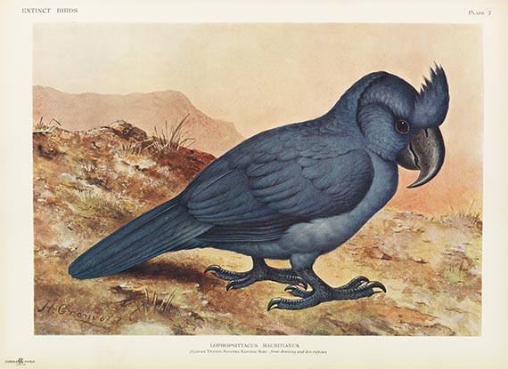 Lionel Walter Rothschild - Extinct birds - 